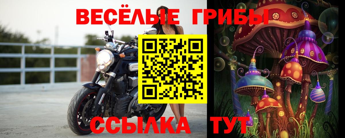 Псилоцибиновые грибы прущие грибы Россошь